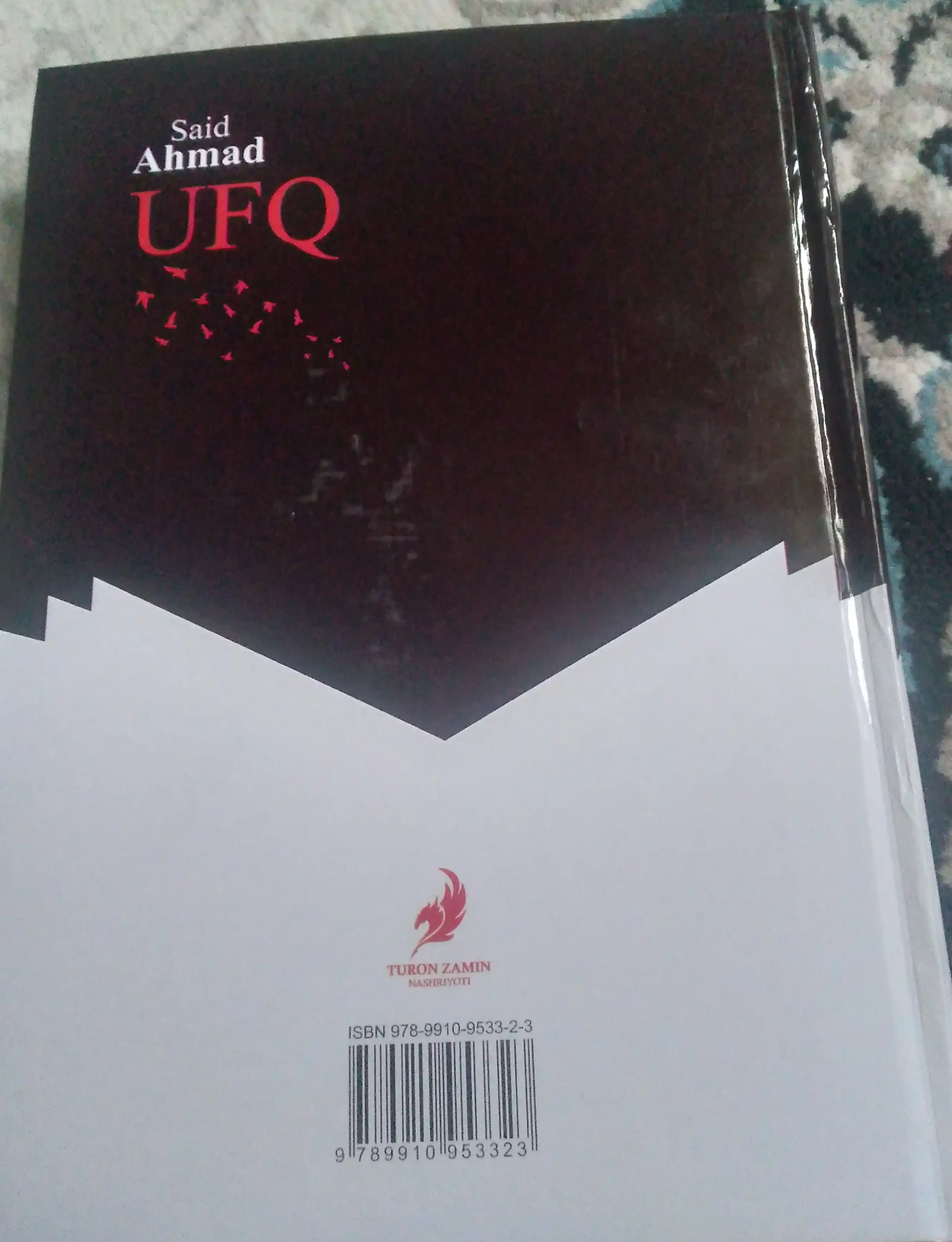 Said Ahmad - UFQ (roman)