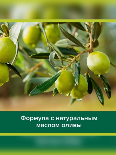 2 в 1 Шампунь-Кондиционер Palmolive Натурэль "Увлажнение" Масло Оливы, 450 мл