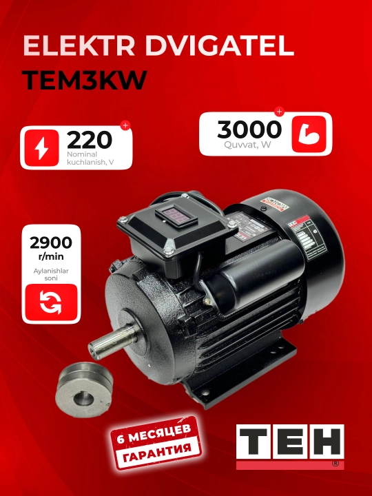 Двигатель TEH TEM3KW, 3000 Вт, диаметр вала 38 мм, 2900 об/мин