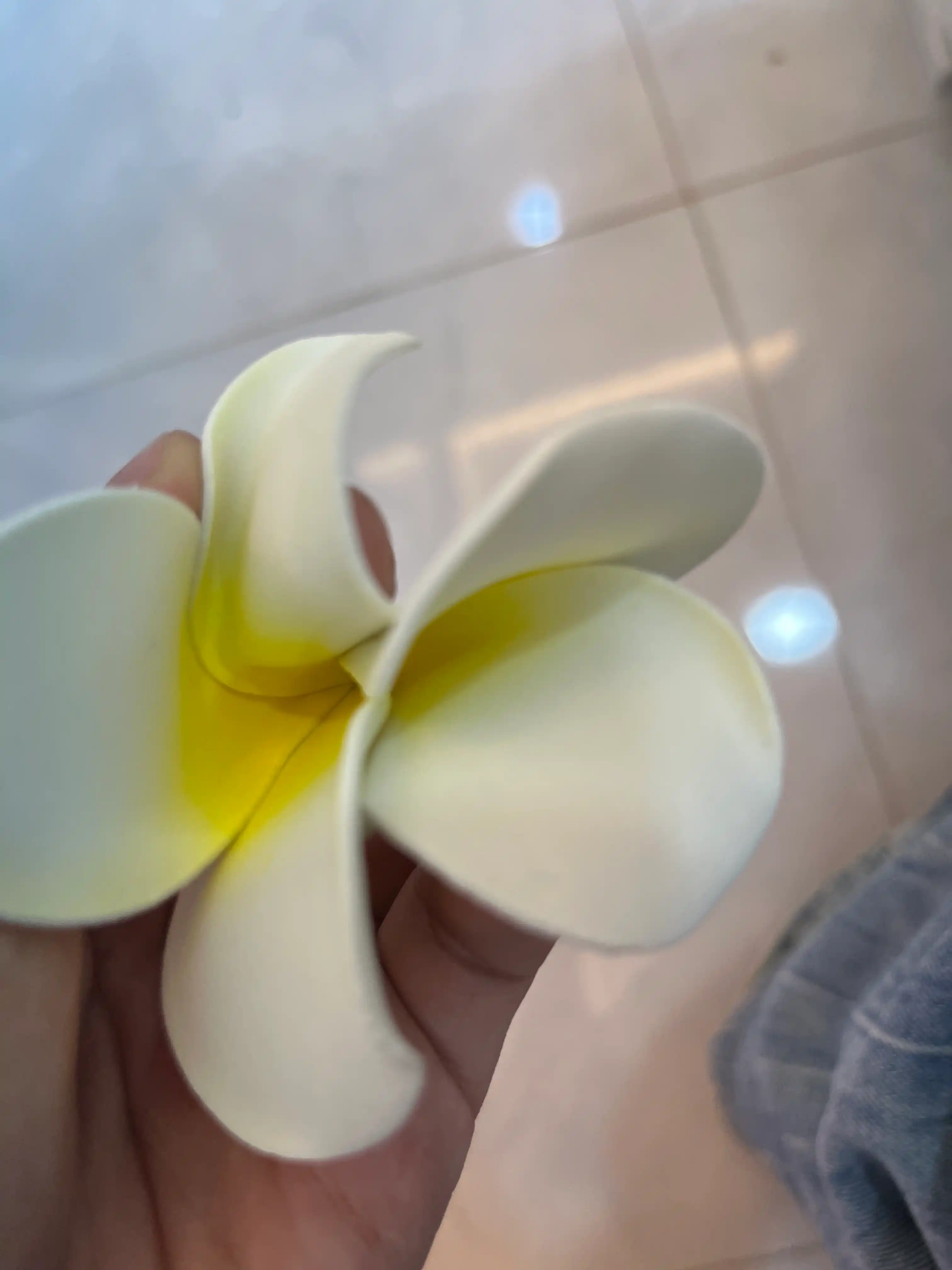 Nafis plyaj soch qisqichi, sariq va oq frangipani guli