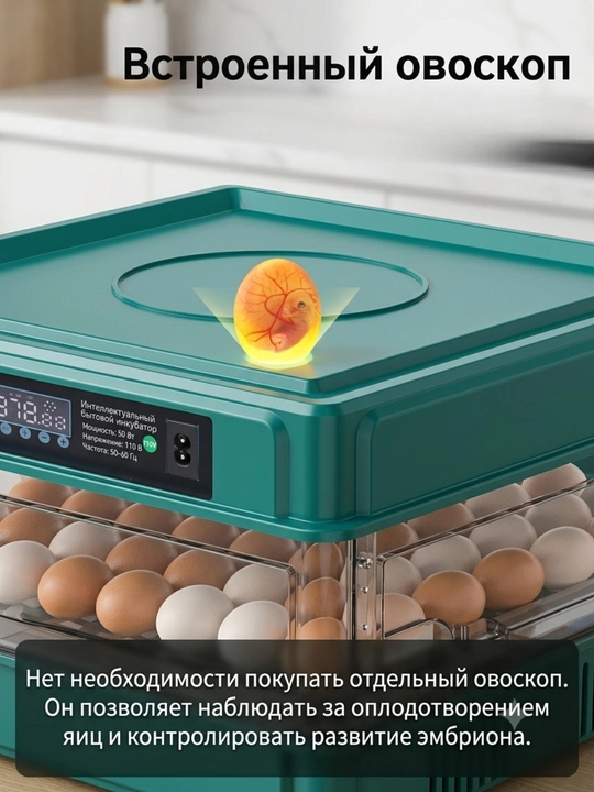 Инкубатор для яиц 220В/12В с автопереворотом и увлажнением — умный инкубатор для цыплят