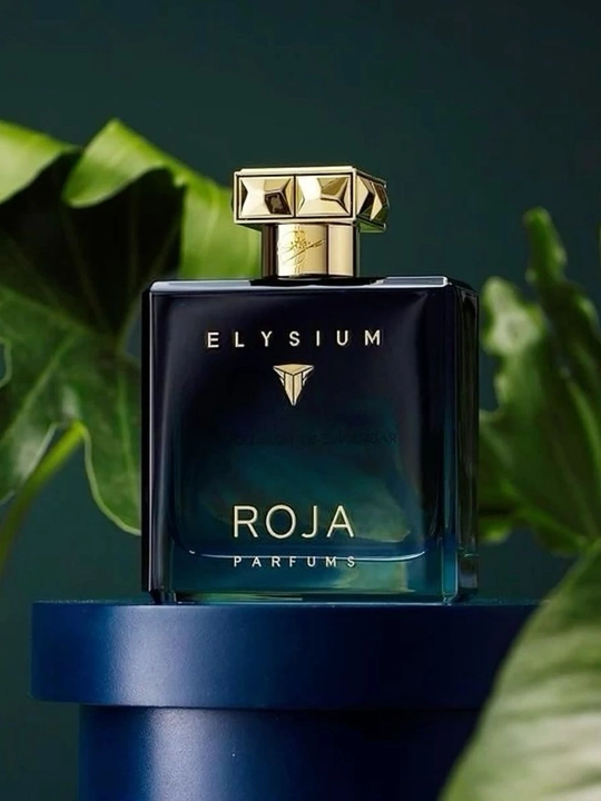 Roja Elysium Pour Homme Eau de Parfum 100 мл Мужской Парфюм EDP