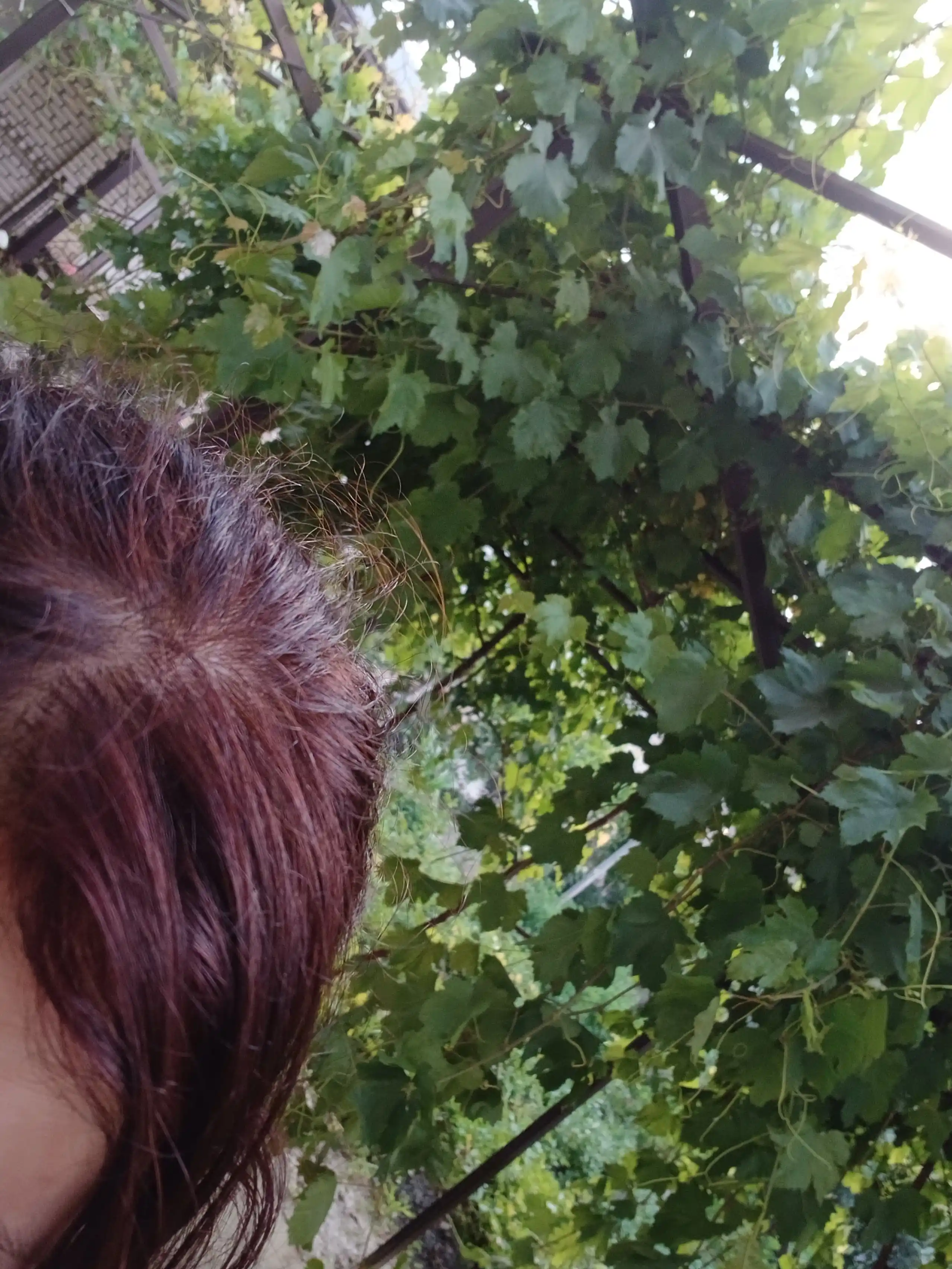 Хна для волос Trichup Henna, 100 г — натуральное окрашивание, укрепление и блеск волос