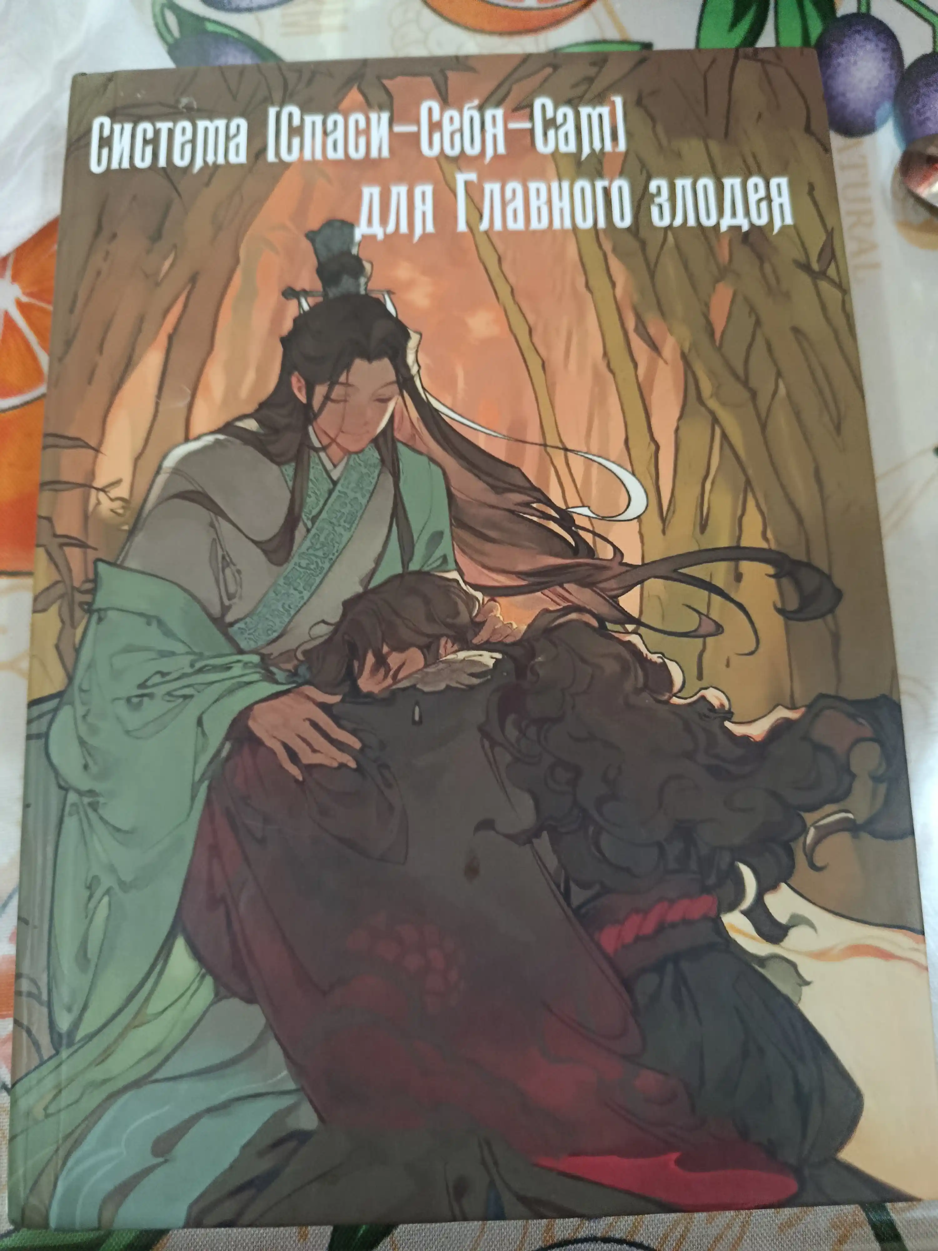 Новелла, Система «Спаси-Себя-Сам» для Главного Злодея, Том 4