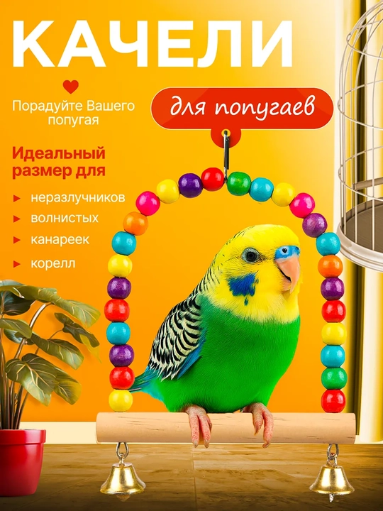 Качели для попугаев и птиц, деревянное кольцо-насест с цветными бусинами