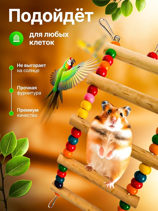 Качели для попугаев и птиц, деревянное кольцо-насест с цветными бусинами