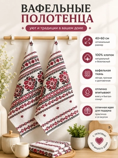 Korall
