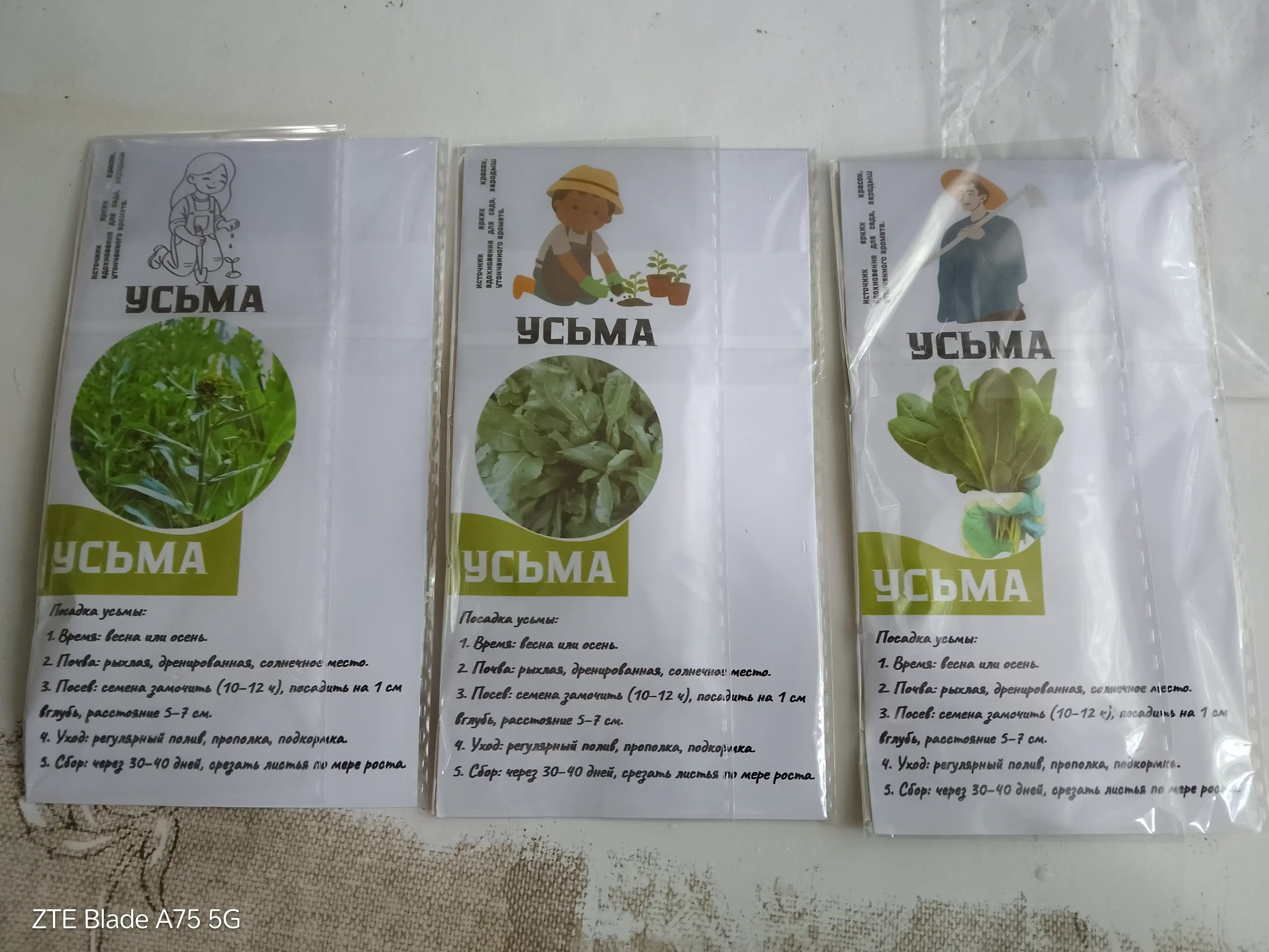 Семена усьмы