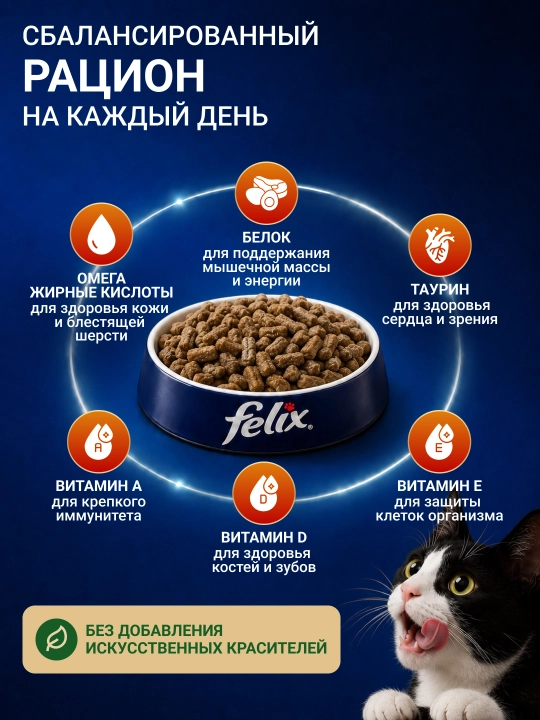 Katta mushuklar uchun mol go‘shti va tovuq go‘shtidan tayyorlangan Felix quruq ozuqasi