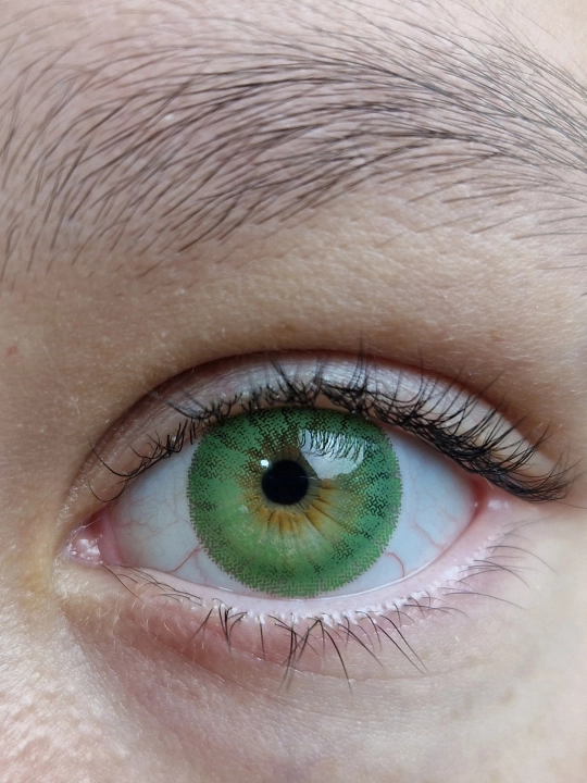 EDG GREEN Rangli kontakt linzalari, yashil rang, BC 8.6, DIA 14.2, 12 oy