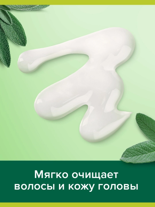 Шампунь Palmolive Men против перхоти с экстрактом шалфея, 450 мл