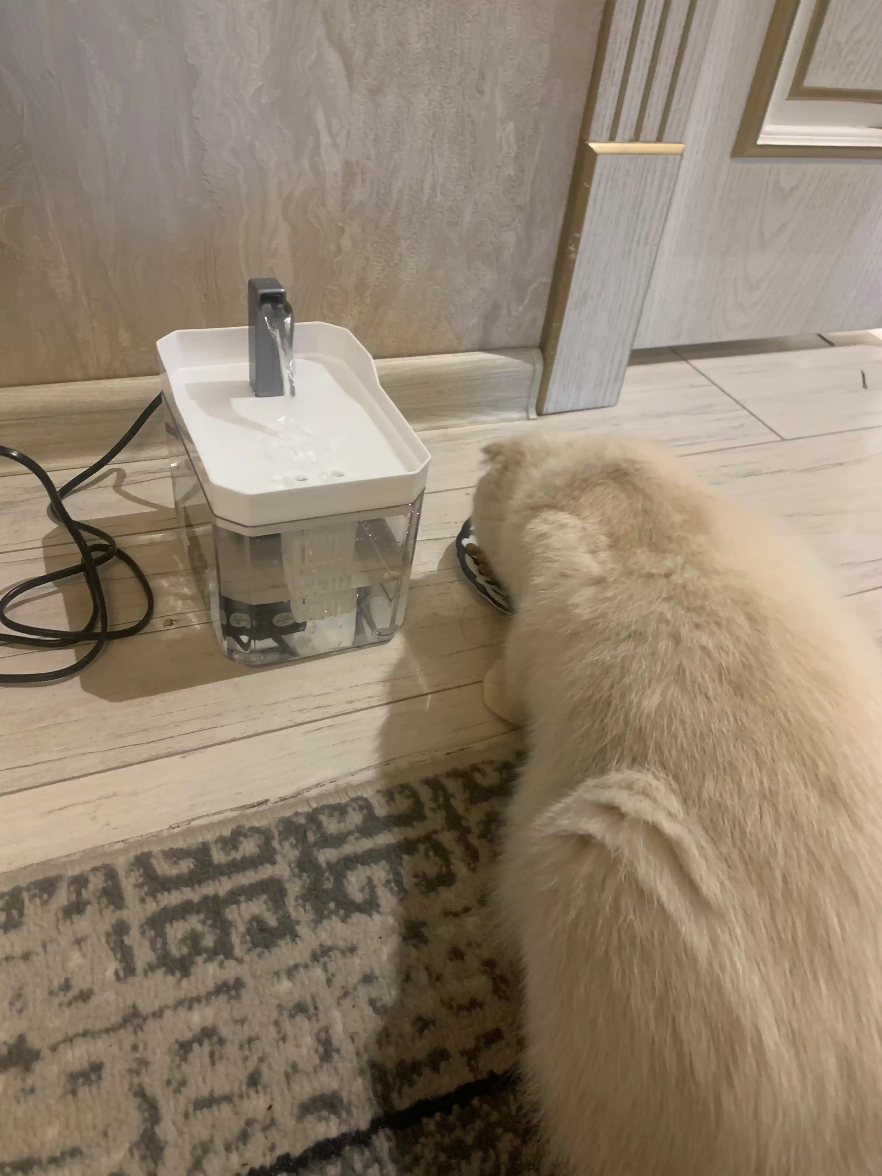 Mushuklar, mushukchalar va itlar uchun favvora, jo‘mrakli, USB orqali quvvatlanad