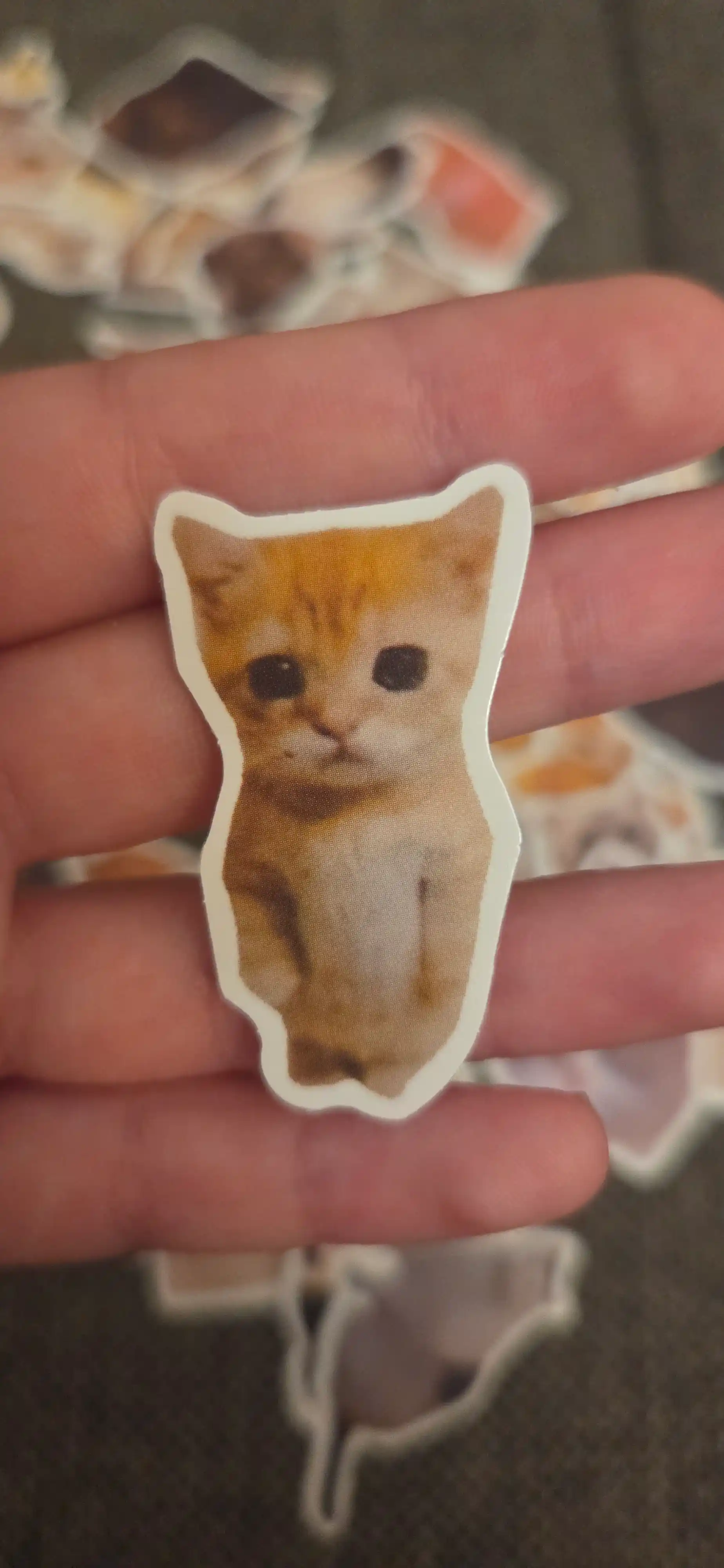 Стикеры, наклейки - Милые котики, кошки, мемы кошек