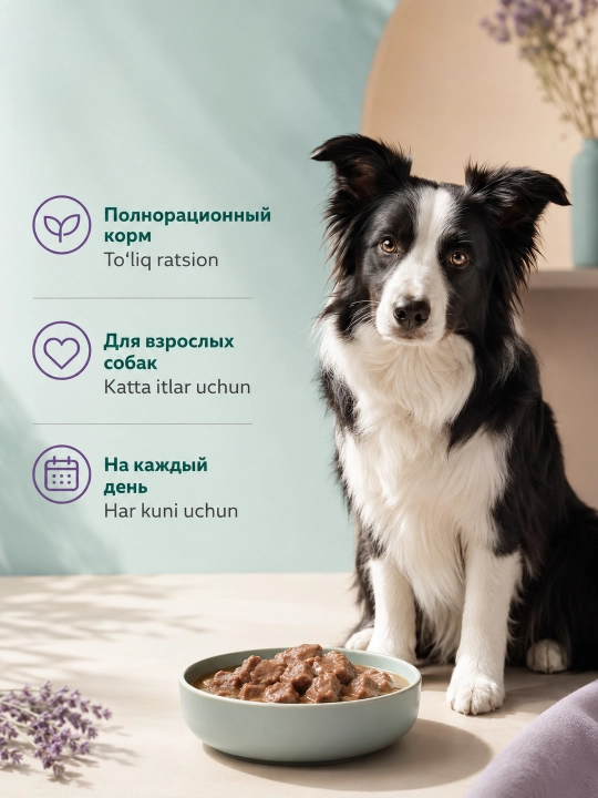 MIR Miradog katta itlar uchun qo‘zi go‘shtli nam yem, 75 g, 5 dona