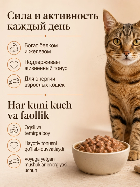 MIR Meat katta mushuklar uchun Black Angus mol go‘shtli raguli nam yem, 75 g, 28 dona