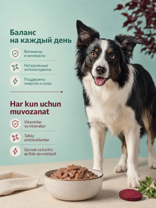 MIR Miradog katta itlar uchun mol go‘shtli sousli nam yem, 75 g, 28 dona
