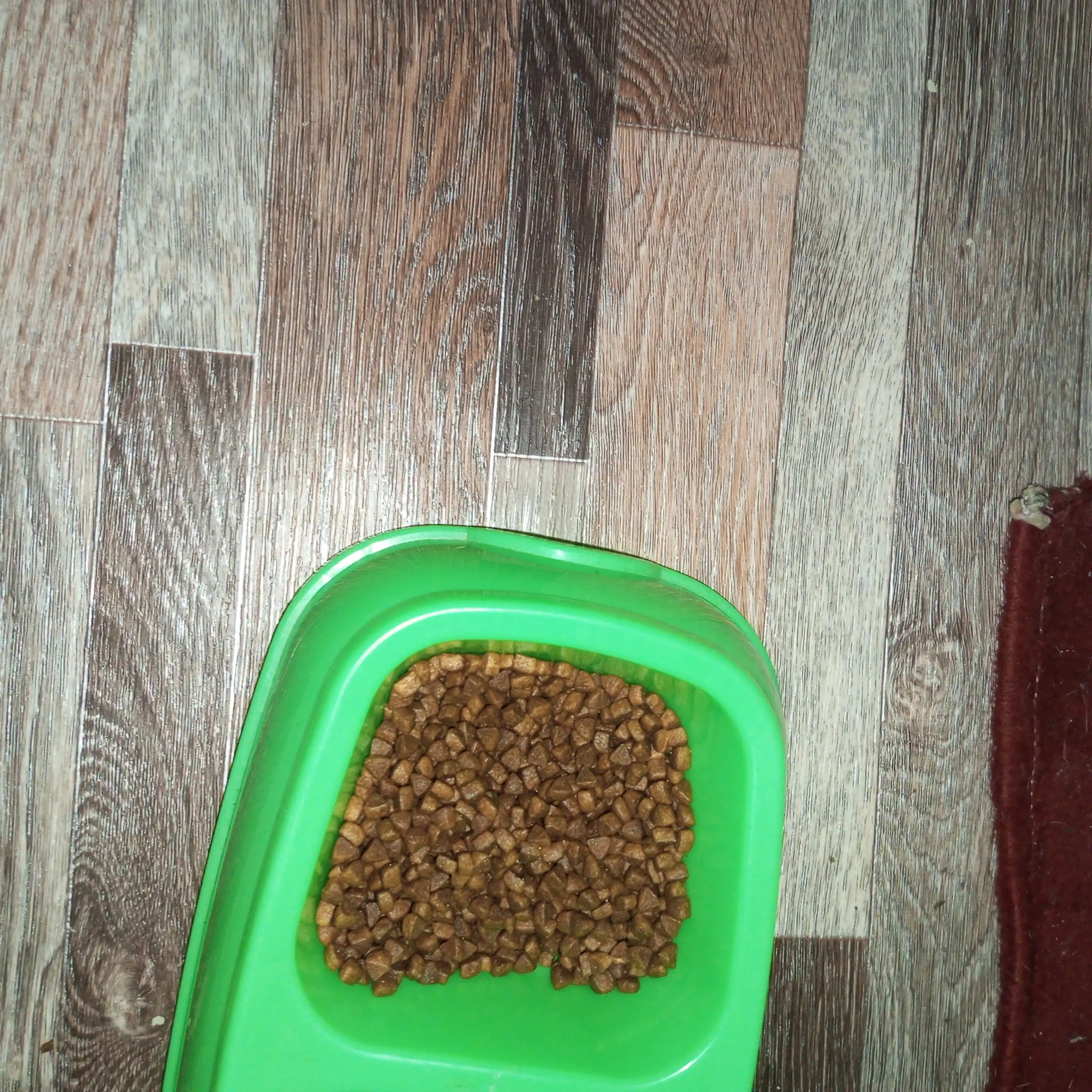 Reflex Plus Kitten Chicken mushukchalar uchun quruq ovqat, tovuq bilan, 1.5 kg