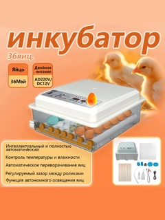 Белый