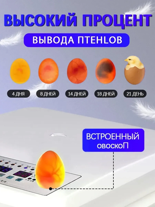 Автоматический инкубатор яиц с автоповоротом, терморегулятор, дисплей контроля
