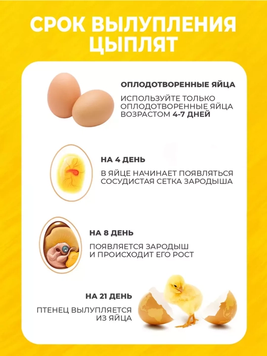 Автоматический инкубатор яиц с автоповоротом, терморегулятор, дисплей контроля