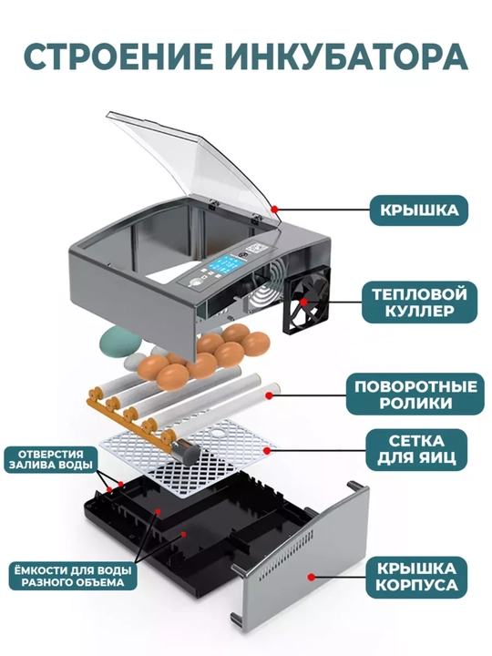 Автоматический инкубатор яиц с автоповоротом, терморегулятор, дисплей контроля