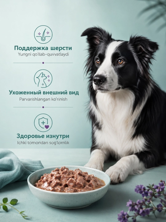 MIR Miradog katta itlar uchun qo‘zi go‘shtli sousli nam yem, 75 g, 28 dona