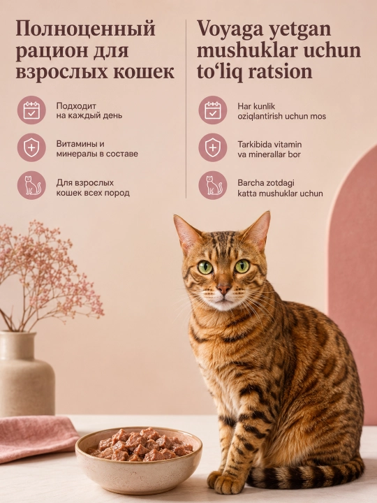 Miratorg Meat katta mushuklar uchun buzoq go‘shtli jeleli nam yem, 75 g, 5 dona