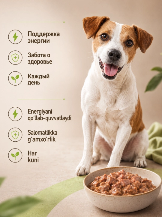 MIR Meat katta itlar uchun qo‘zi go‘shtli raguli nam yem, 80 g, 5 dona