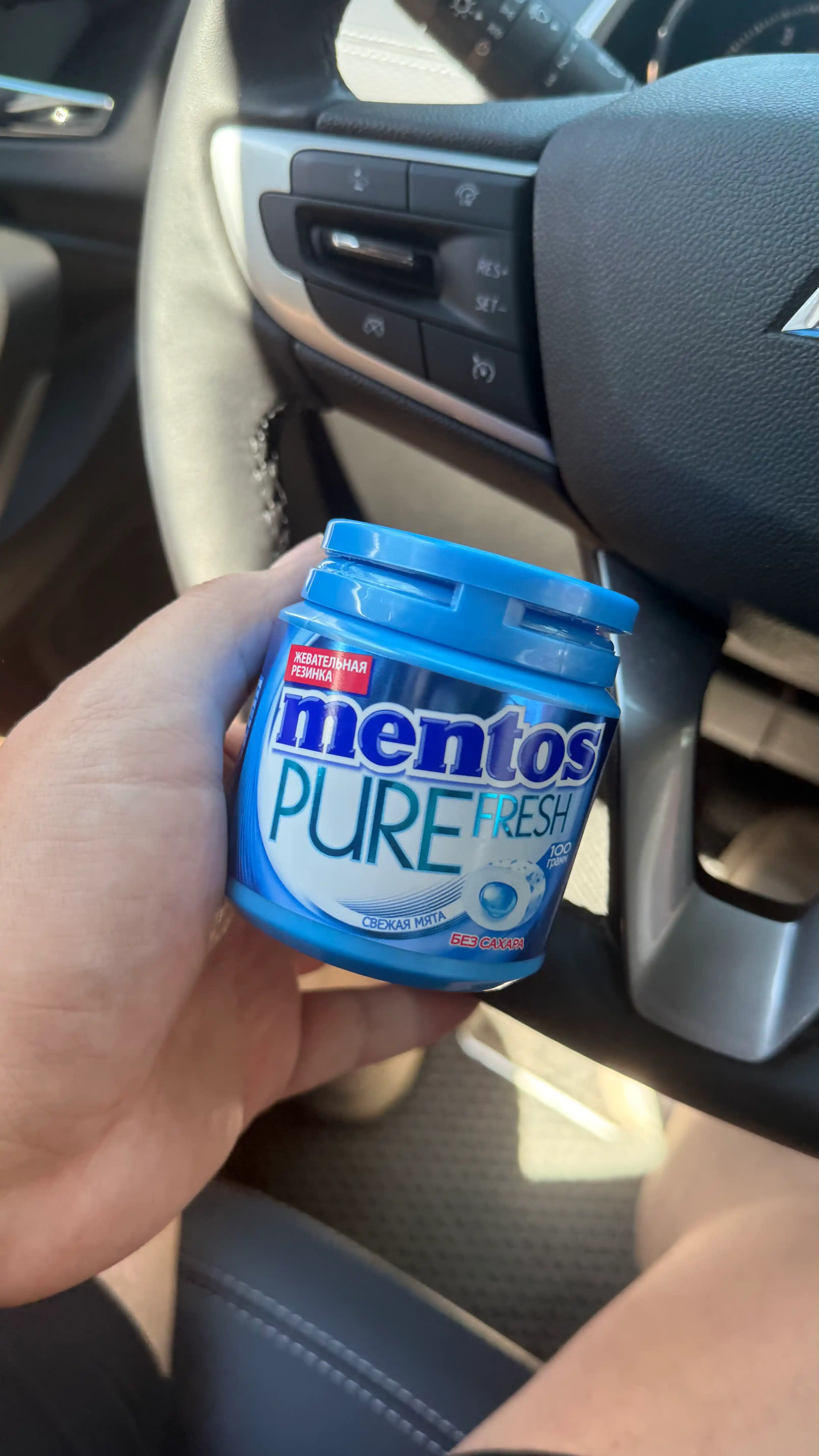 Жевательная резинка Mentos Pure Fresh Свежая мята, 100 г