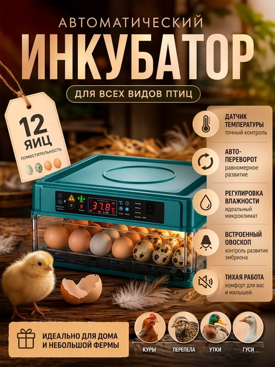 Инкубатор для яиц 220В/12В с автопереворотом и увлажнением — умный инкубатор для цыплят - 