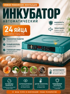 Зелёный хаки