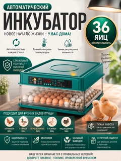 Лайм