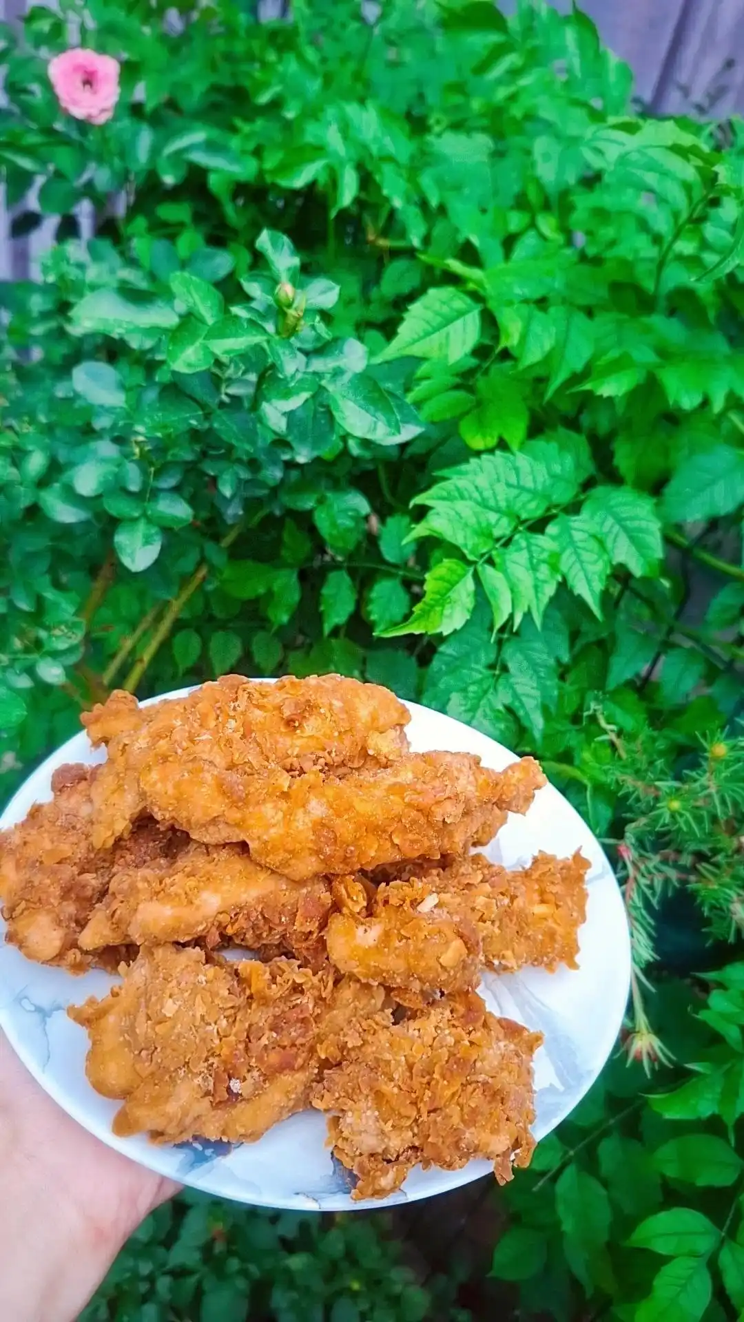 Смесь для жарки курицы Biosh 2 в 1: хрустящая панировка и маринад