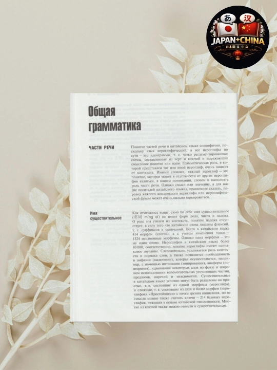 Учебник китайского языка: Грамматика с упражнениями, Шафир (60 белги)