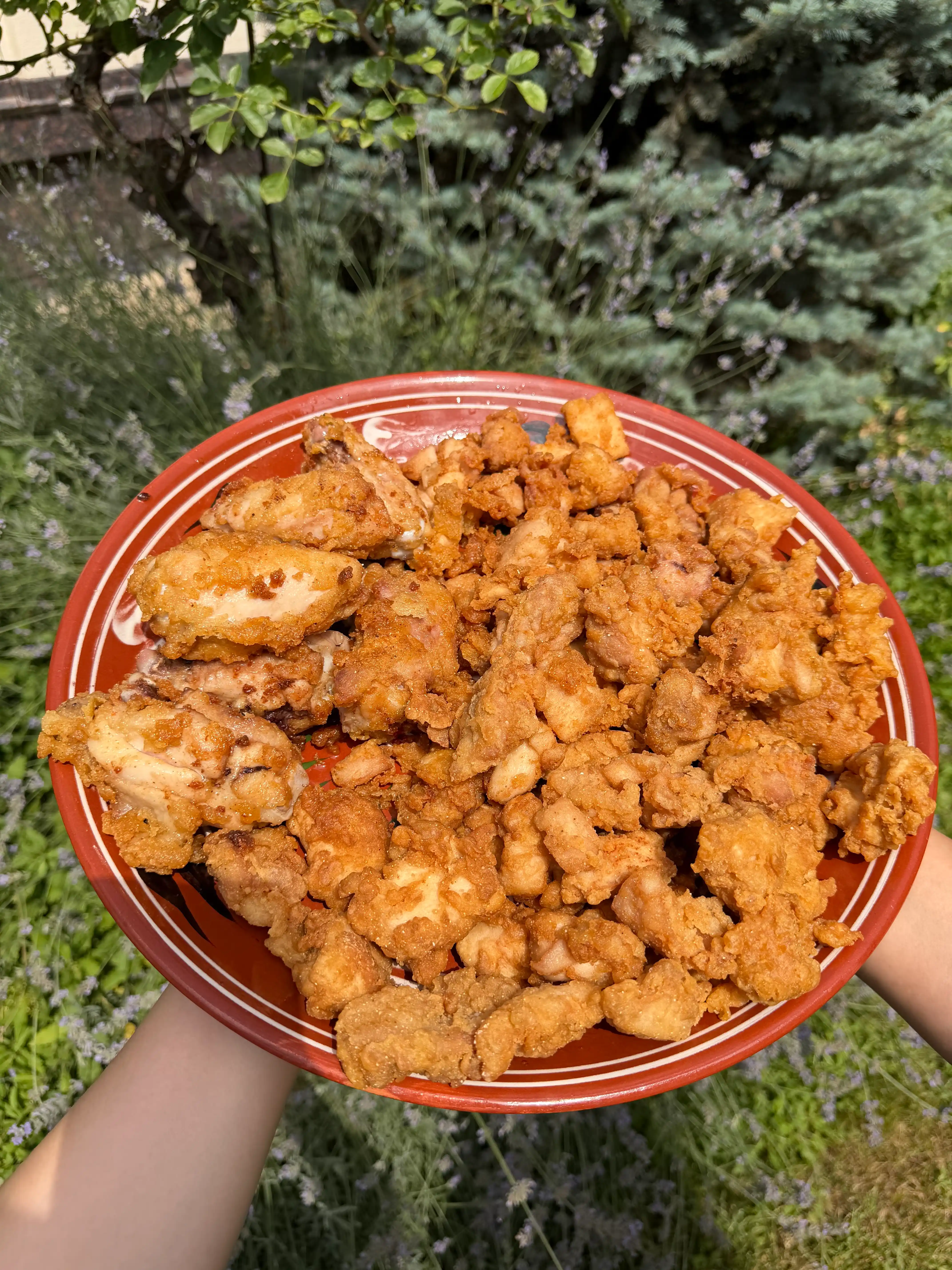 Смесь для жарки курицы Biosh 2 в 1: хрустящая панировка и маринад