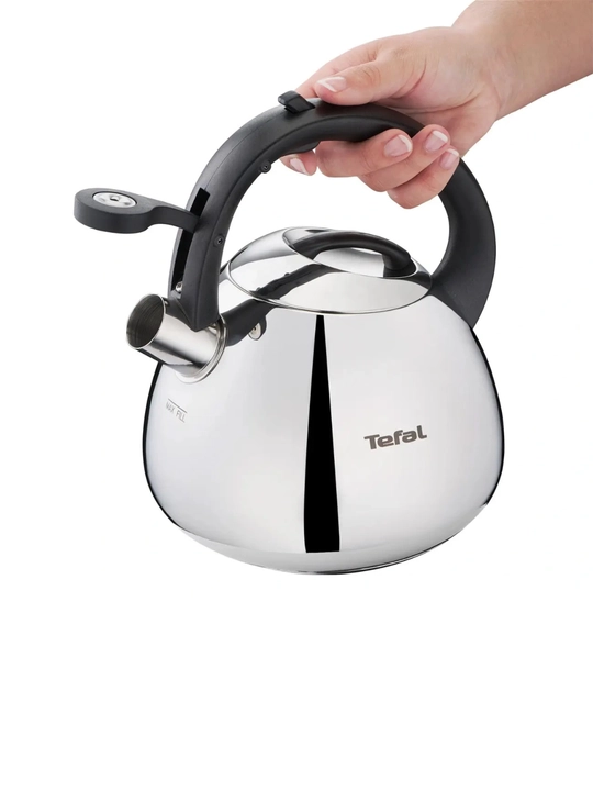 Чайник для плиты Tefal Duetto+ N4180110