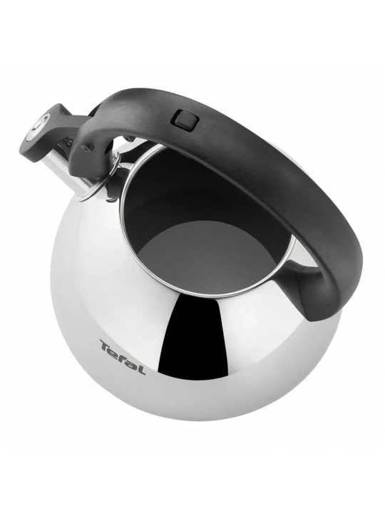 Чайник для плиты Tefal Duetto+ N4180110