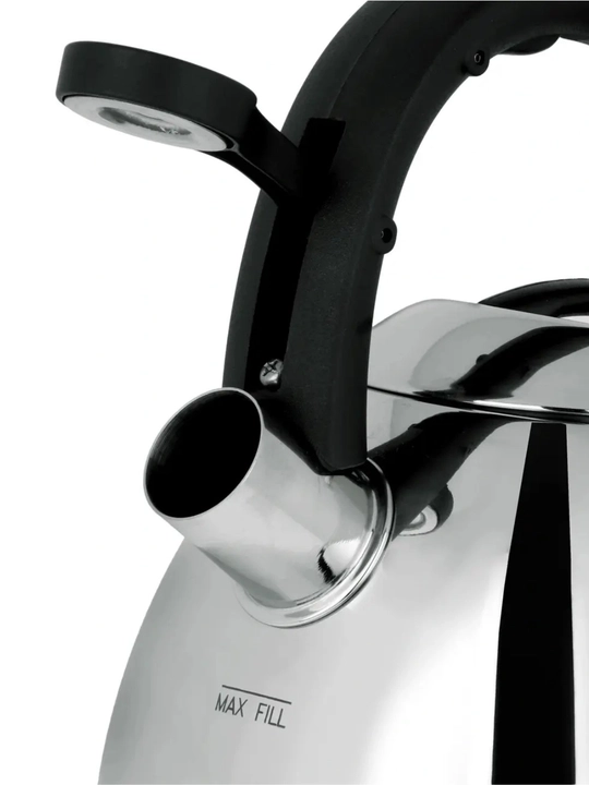 Чайник для плиты Tefal Duetto+ N4180110
