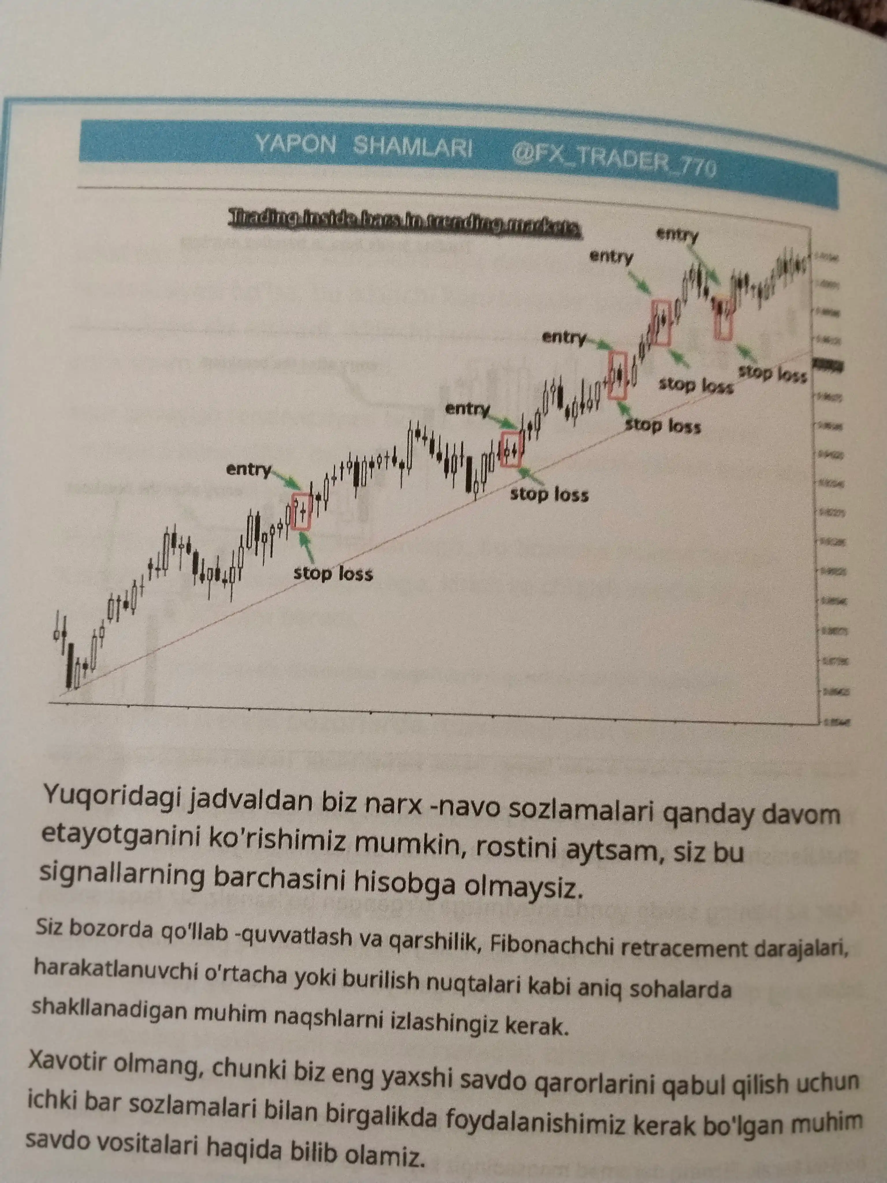 Treyding darslik Yapon shamlari, Muhenisa Homma