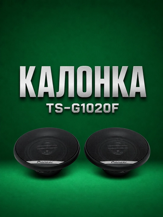PIONEER TS-G1020F avtomobil kalonkalari