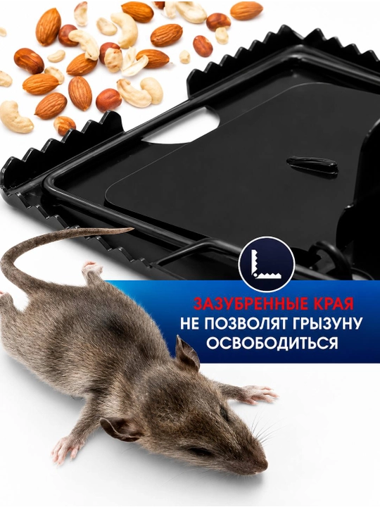 Набор мышеловок, 2 шт, металлическая крысоловка, большая, 16×9 см