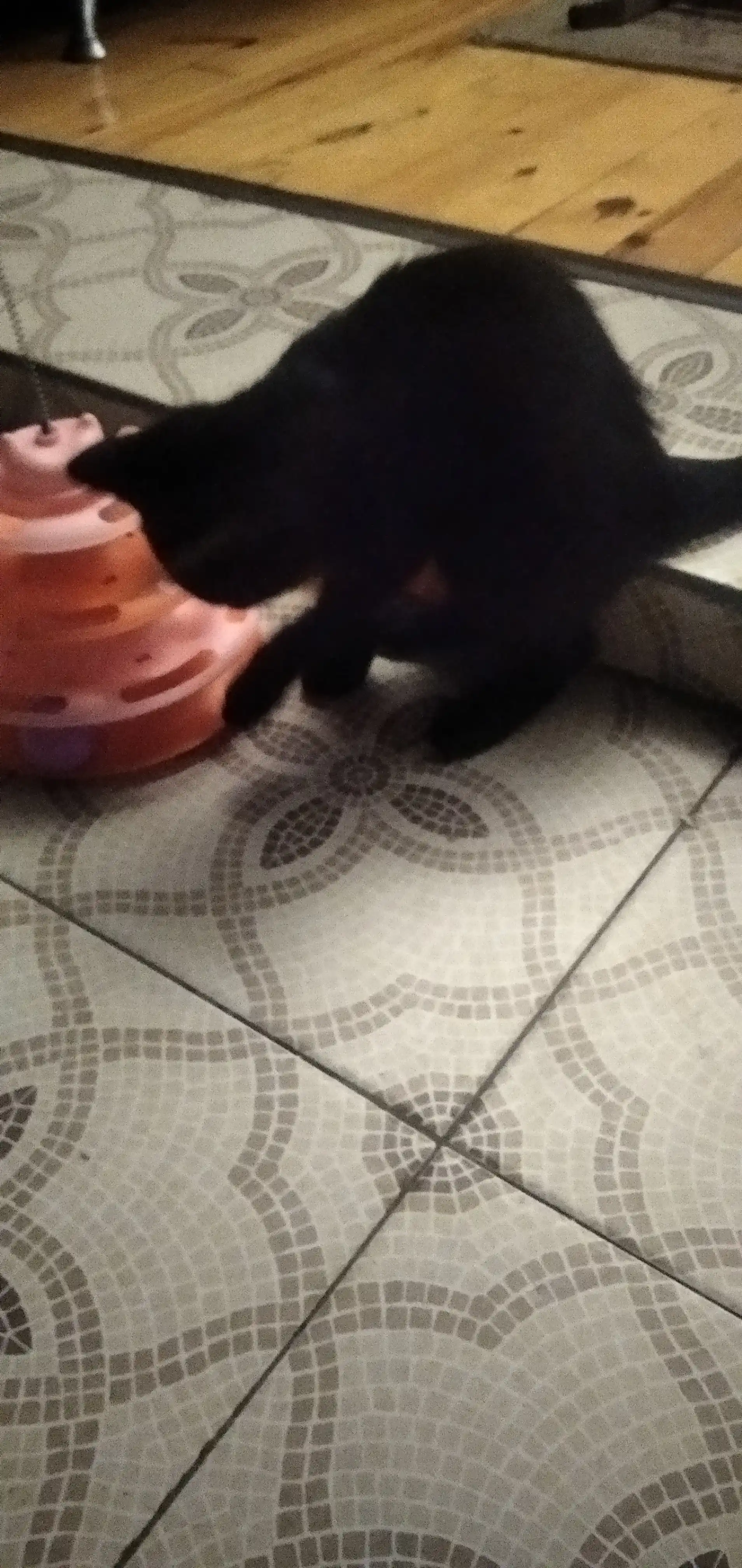 Игрушка для кота