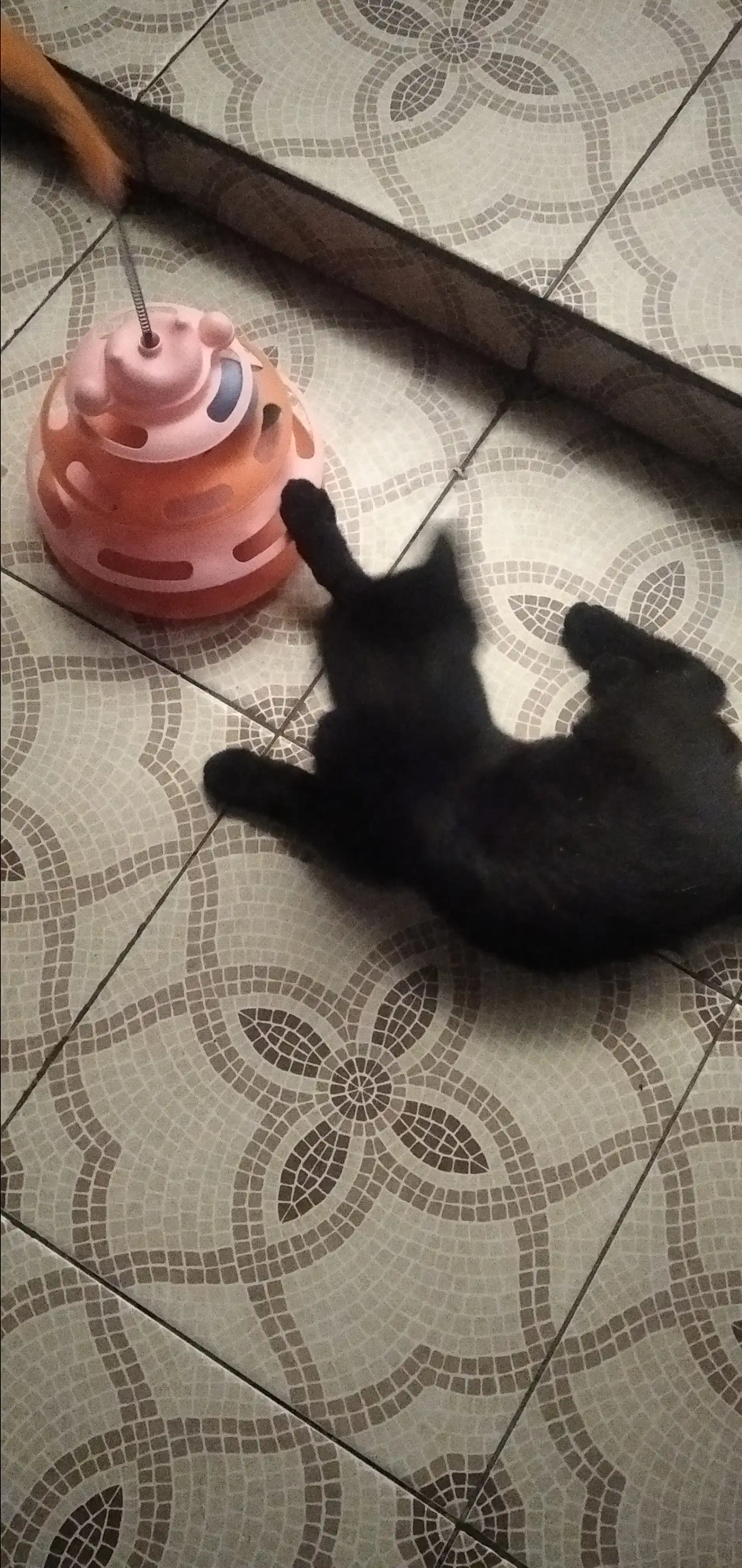 Игрушка для кота