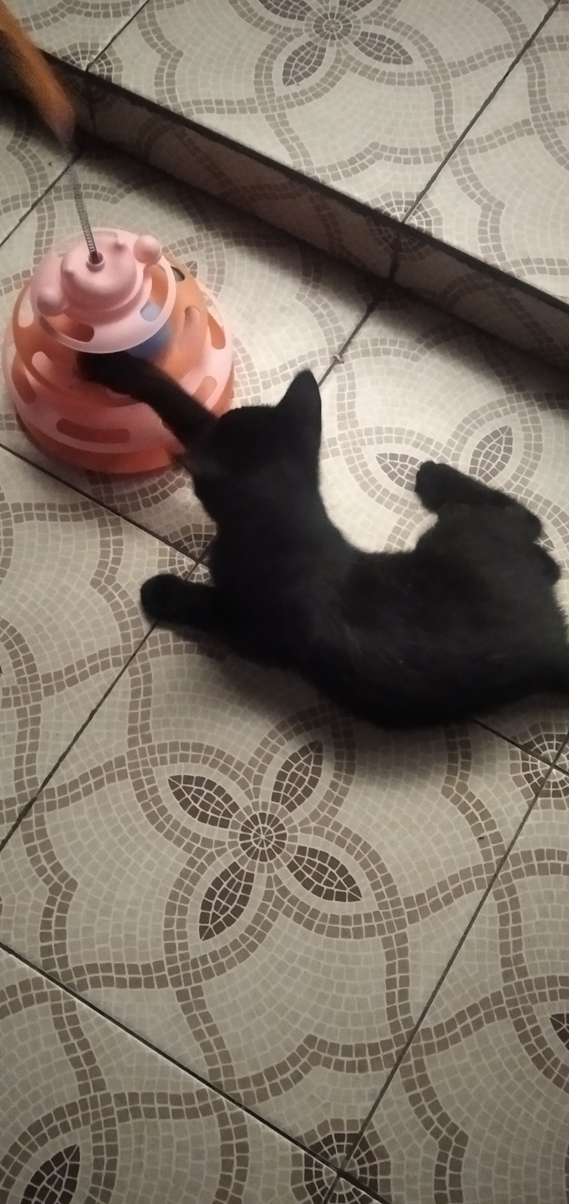 Игрушка для кота