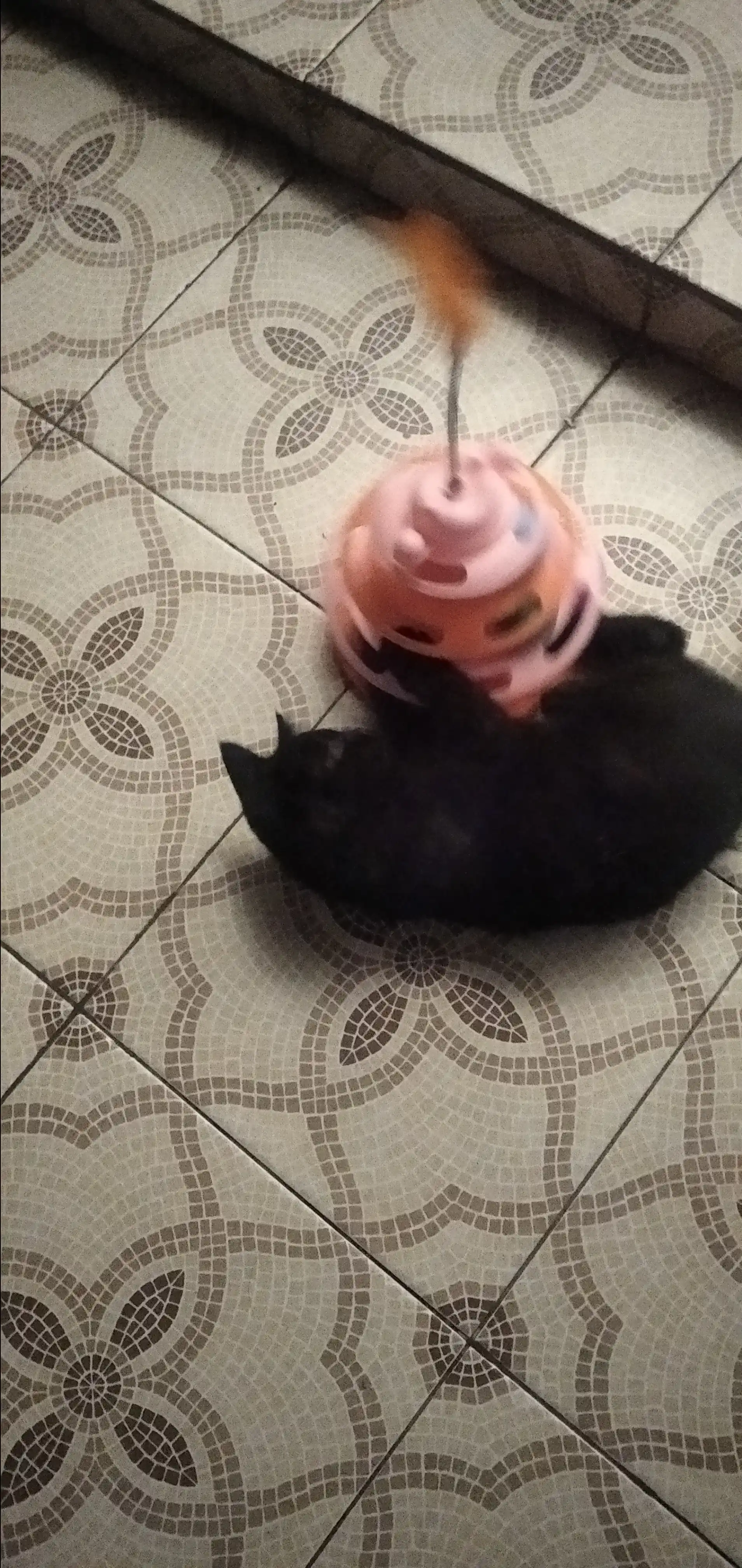 Игрушка для кота