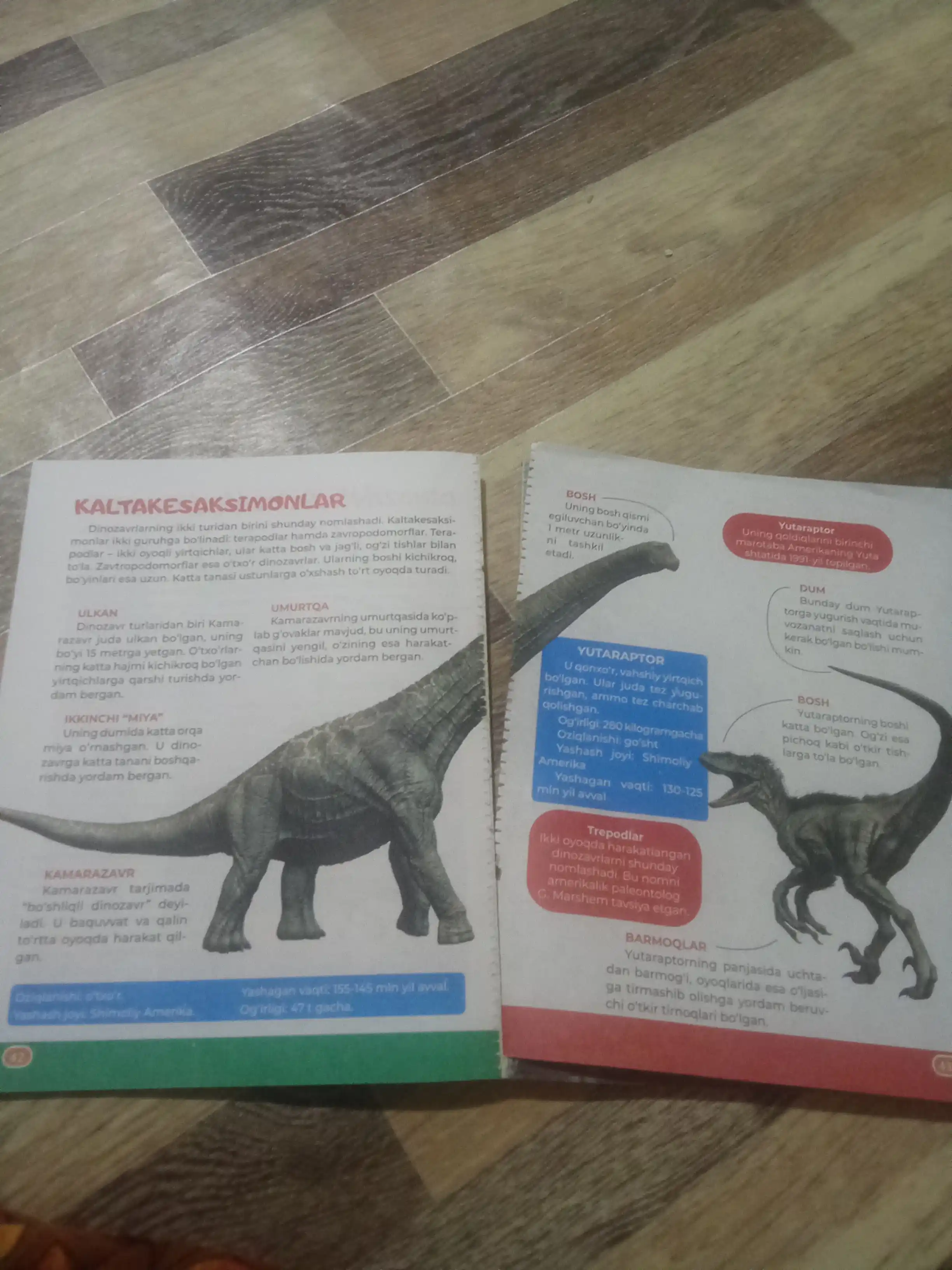 Bolalar ensiklopediyasi