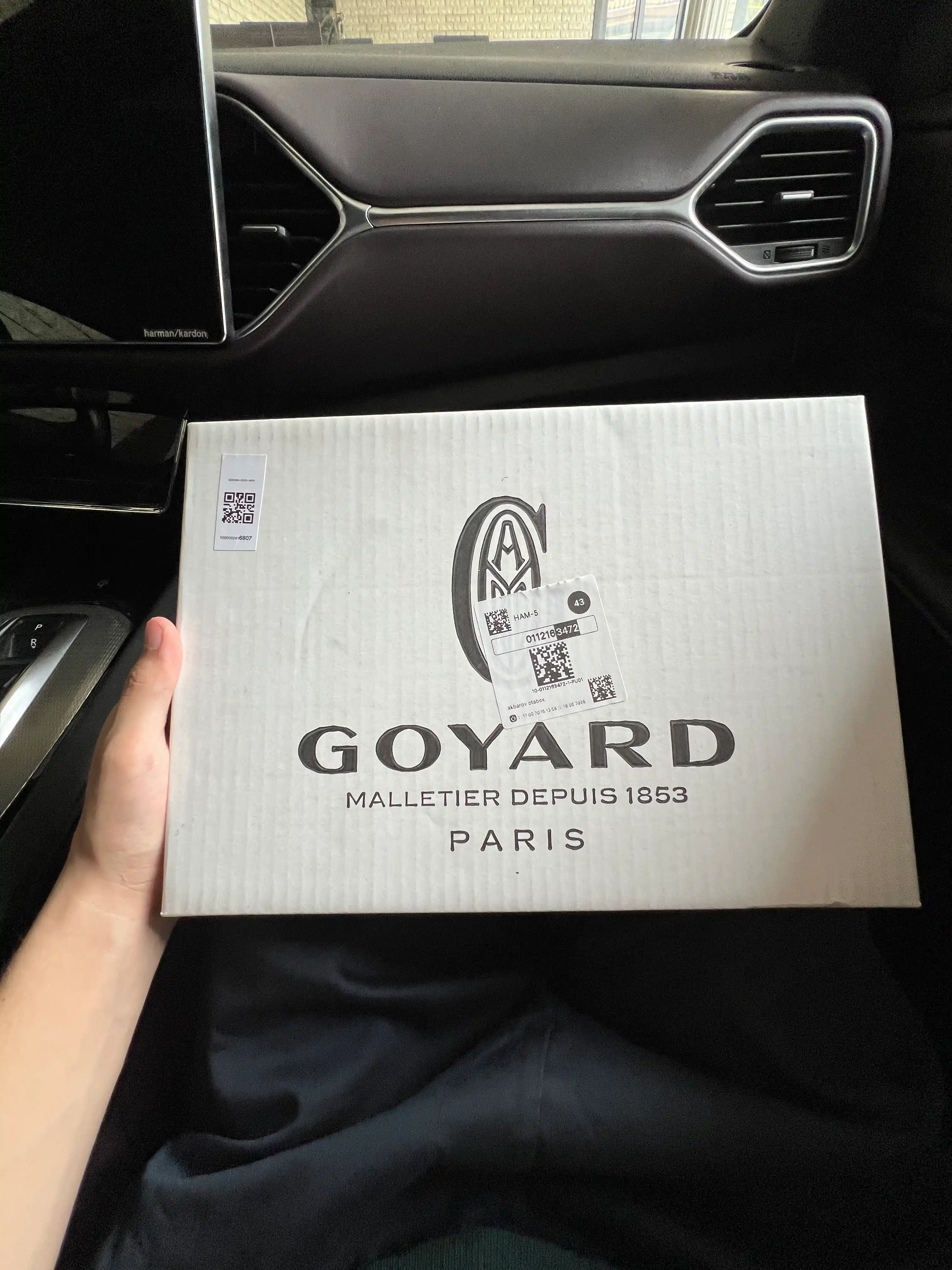 Мужской современный клатч в стиле Goyard (31х21 см)