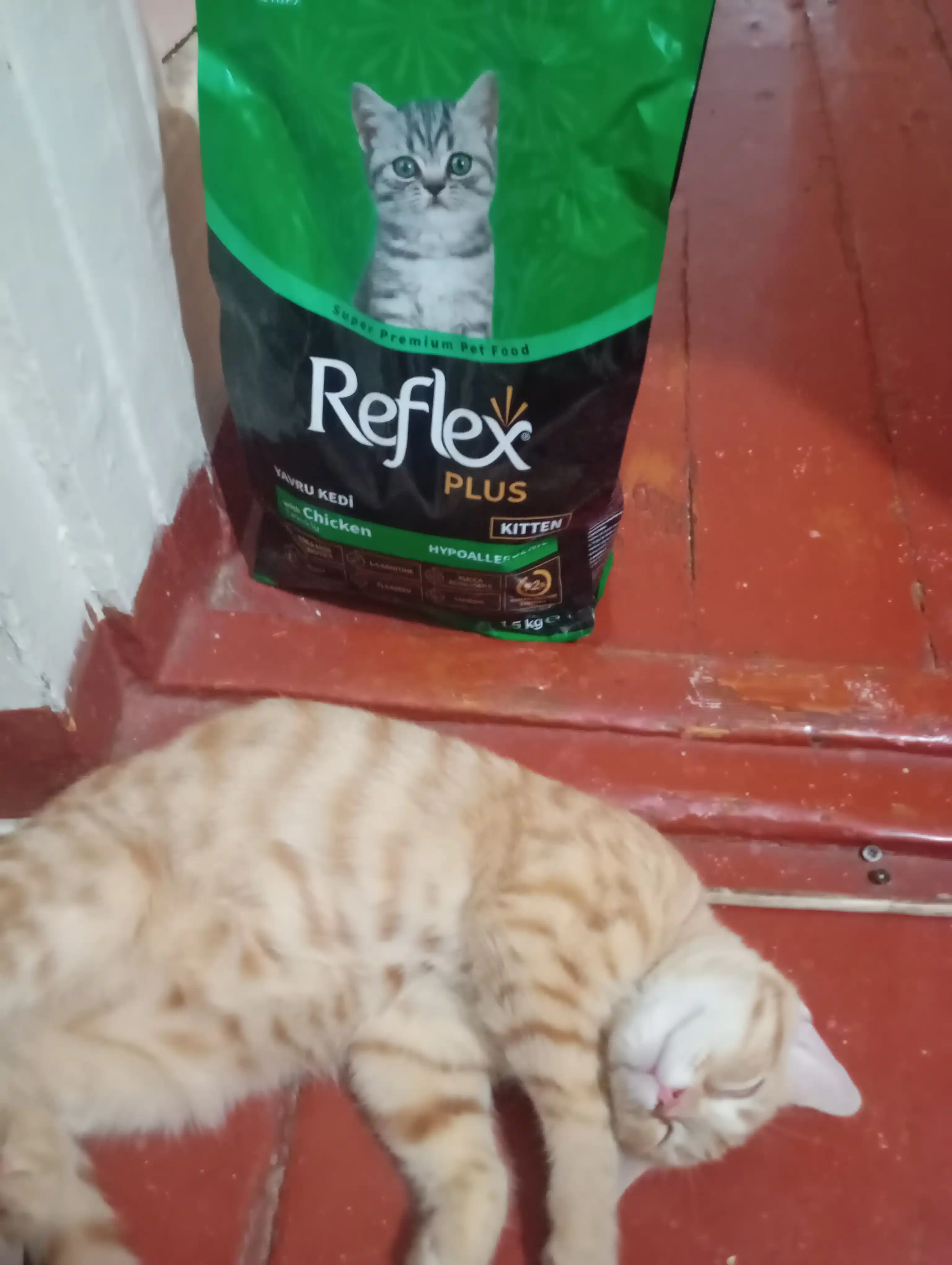 Reflex Plus Kitten Chicken mushukchalar uchun quruq ovqat, tovuq bilan, 1.5 kg