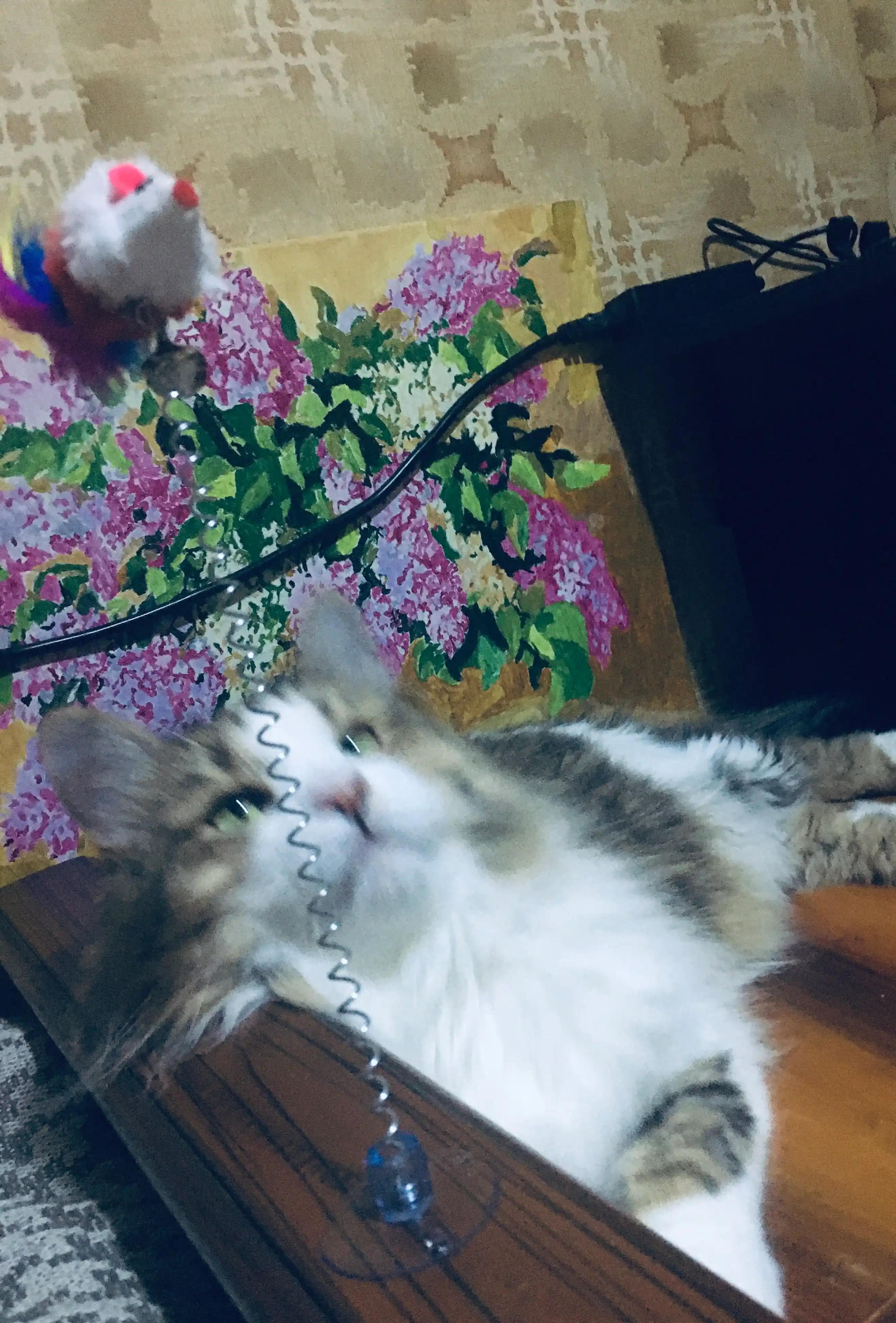 So'rg'ich chashka tizer Sichqoncha, tuklar bilan sun'iy mo'yna