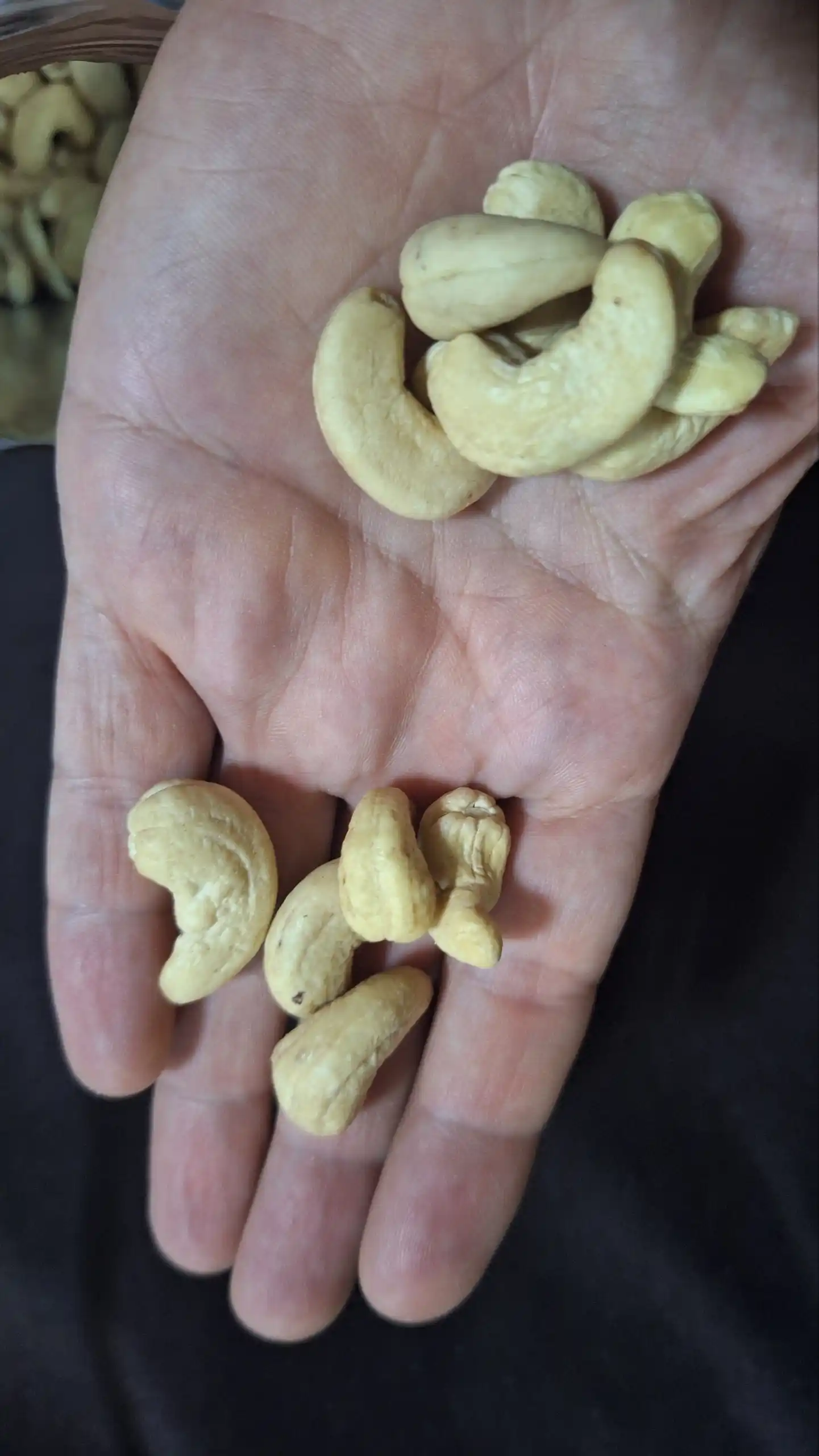 Hayot Ne’matlari Premium keshyu yong‘oqlari - tabiiy ta’mli va foydali yengil taom 200 g